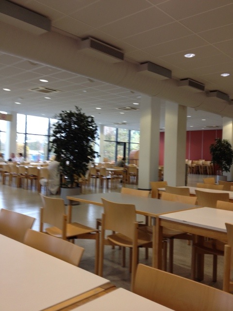 20111204-163818.jpg
